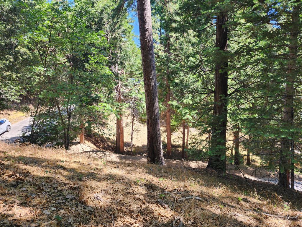 Looking to get away without going too far? Welcome to Crestline--one of Southern California's top-rated mountain destinations, where natural beauty and small-town charm meet year-round adventure. This upslope lot offers distant forest views, nearby hiking trails, and the perfect balance of seclusion and community. Utilities are conveniently located nearby (buyer to verify connection options with local providers), and the property appears to be buildable--please confirm with San Bernardino County Building and Safety. Imagine your custom home or weekend cabin tucked among the trees, just minutes from Lake Gregory. Lake Gregory offers swimming, boating, fishing, and miles of scenic hiking trails. You're also close to the award-winning Sycamore Ranch Vineyard & Winery and the cozy local shops and eateries that make Crestline a true hidden gem. Whether you're planning a private retreat, a basecamp for adventure, or a future investment, this lot has the potential to bring your mountain living dreams to life.