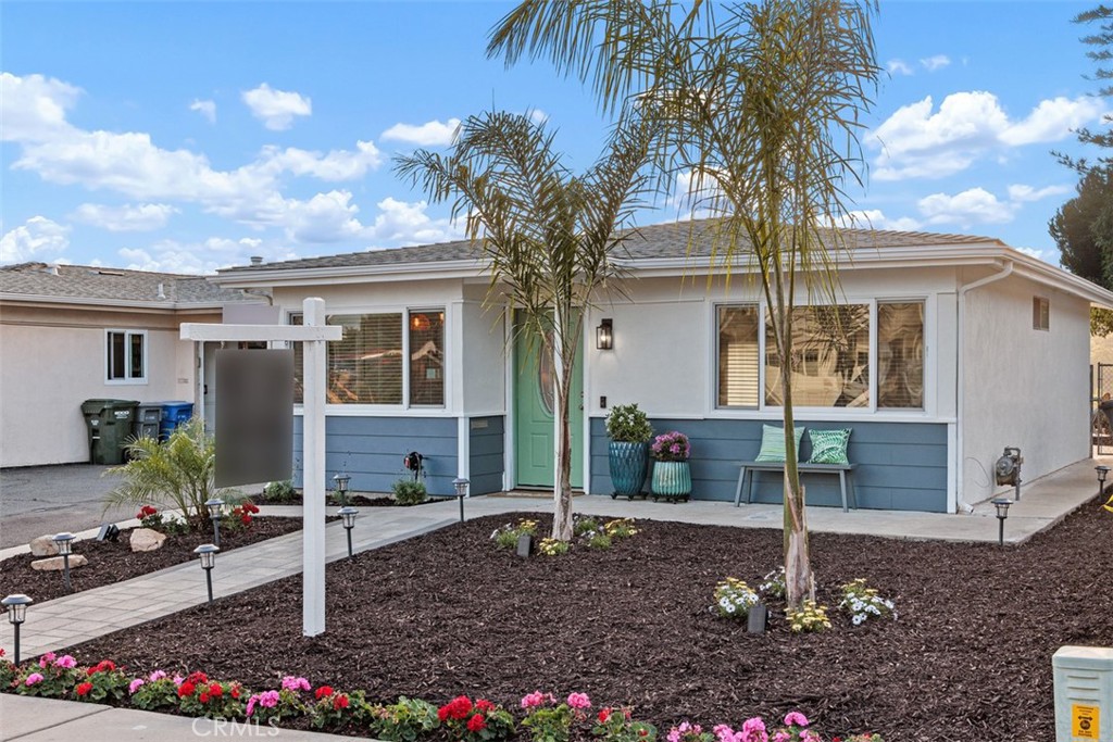 262 Coneflower Street