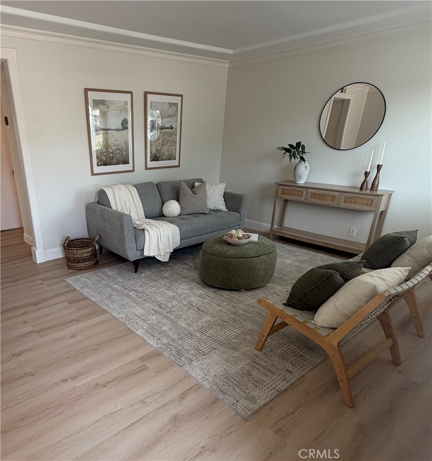 262 Coneflower Street