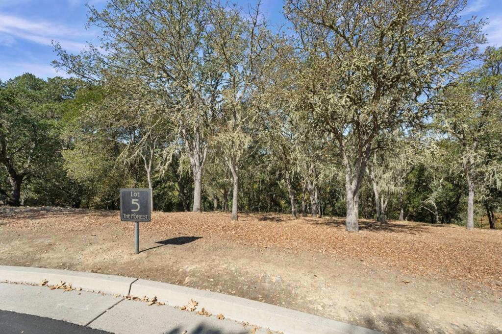 8351 Winter Green Court