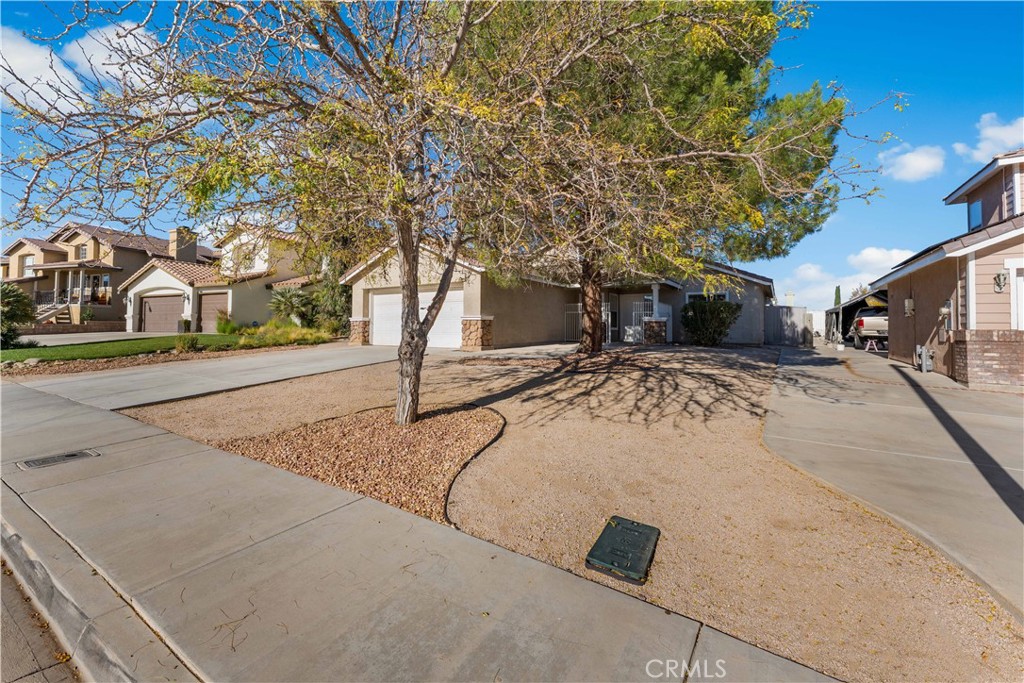 37031 Firethorn Street