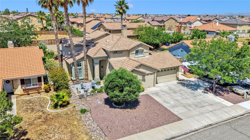 13278 Cardinal