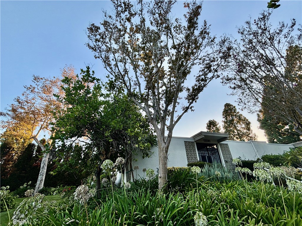 442 Avenida Sevilla A