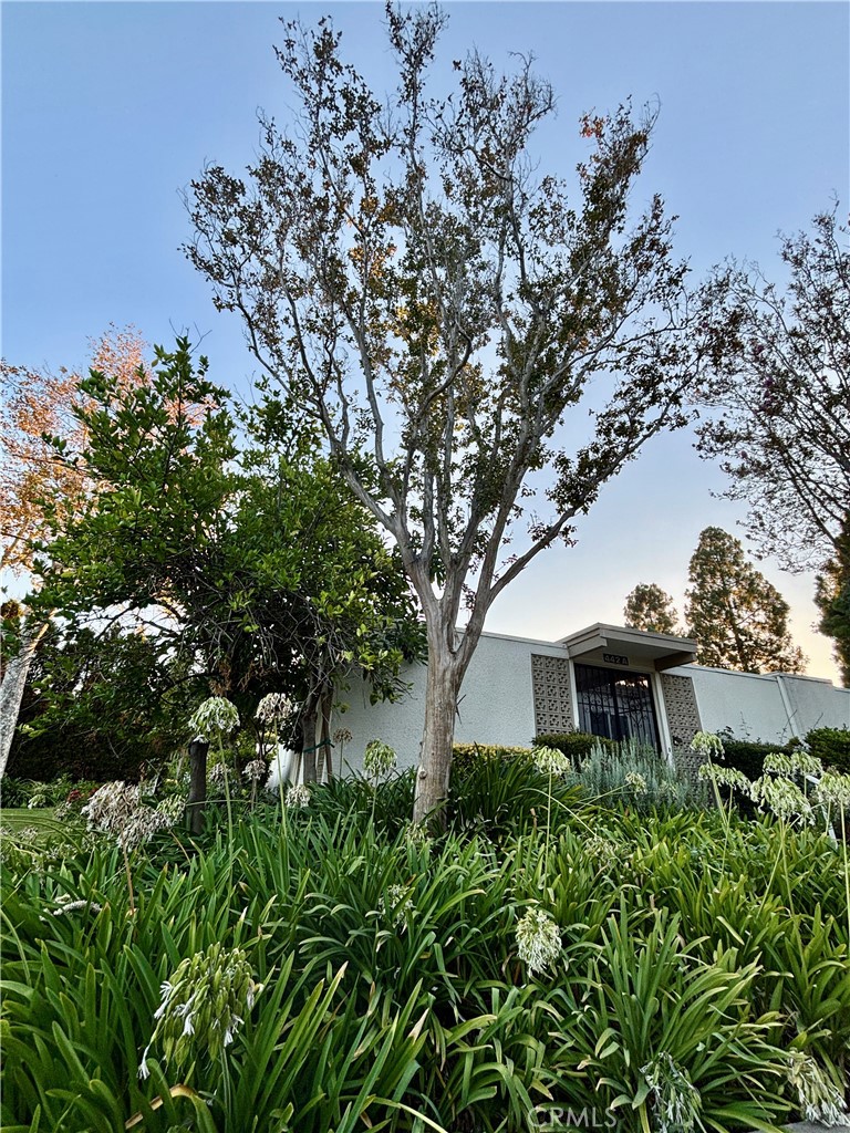 Leisure World (LW) - Residential Lease