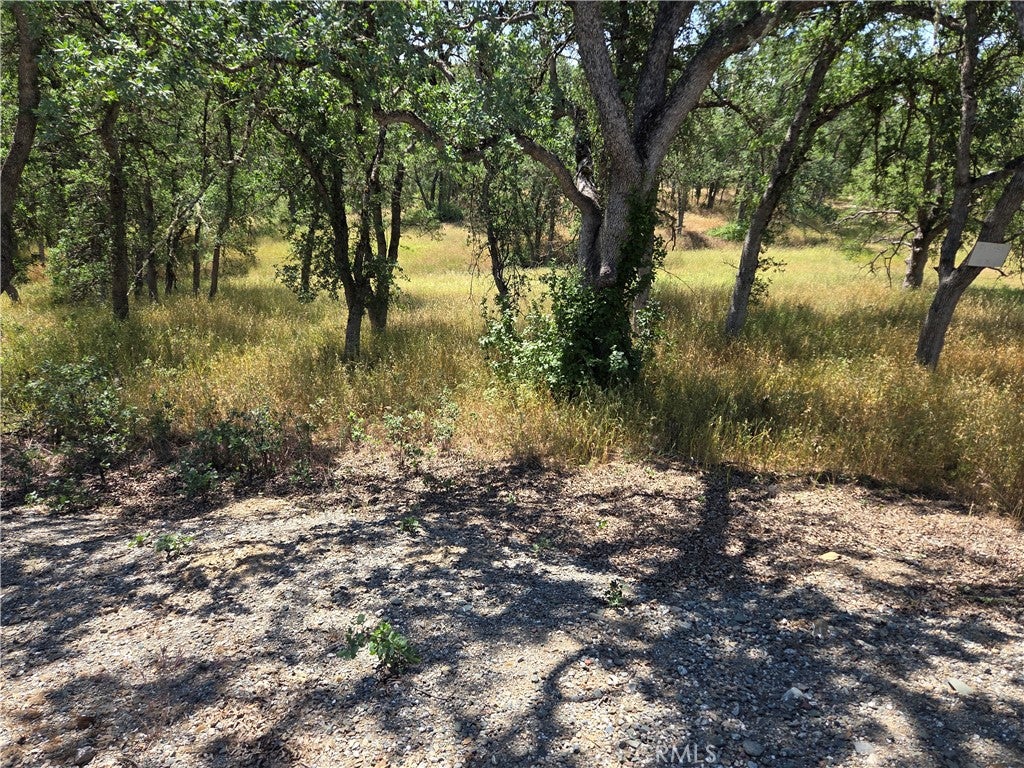 17087 LARAMIE