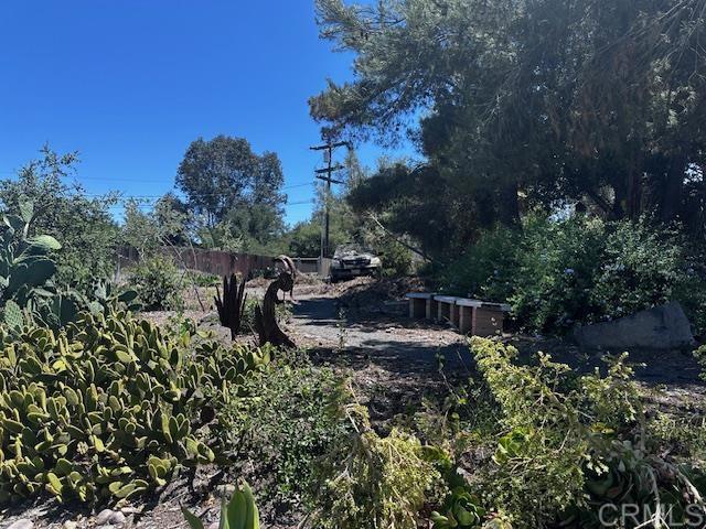 12993 Old Barona Road