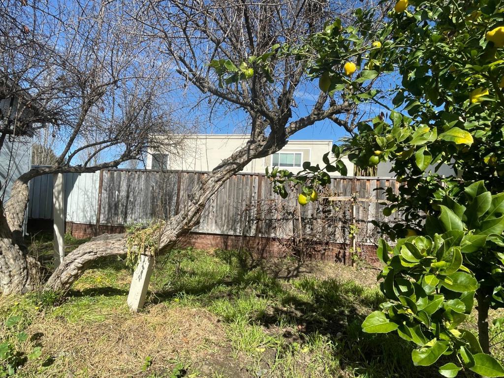 516 Bird Avenue