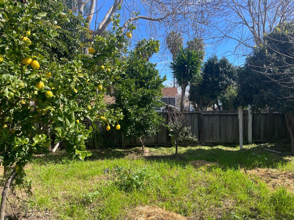 516 Bird Avenue