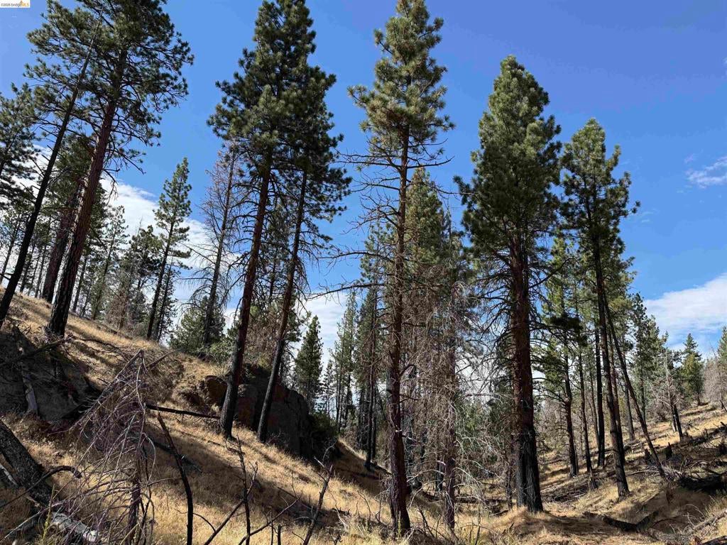 00000 Butte Creek Rd