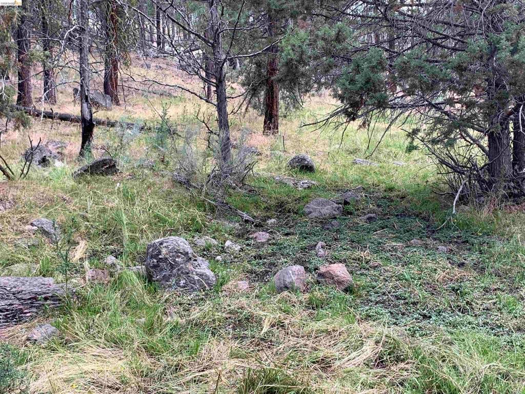 00000 Butte Creek Rd