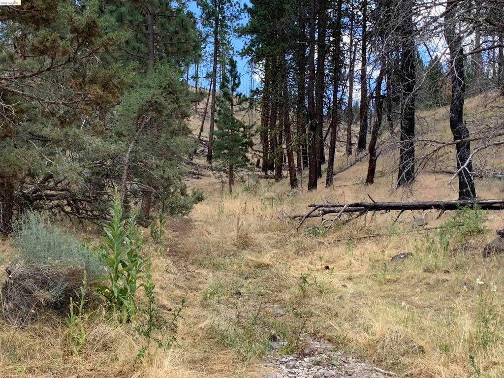 00000 Butte Creek Rd