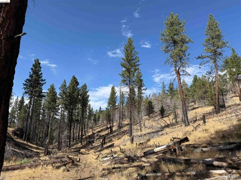 Photo of 00000 Butte Creek Rd, Susanville, CA 96127 (MLS # 41147236)