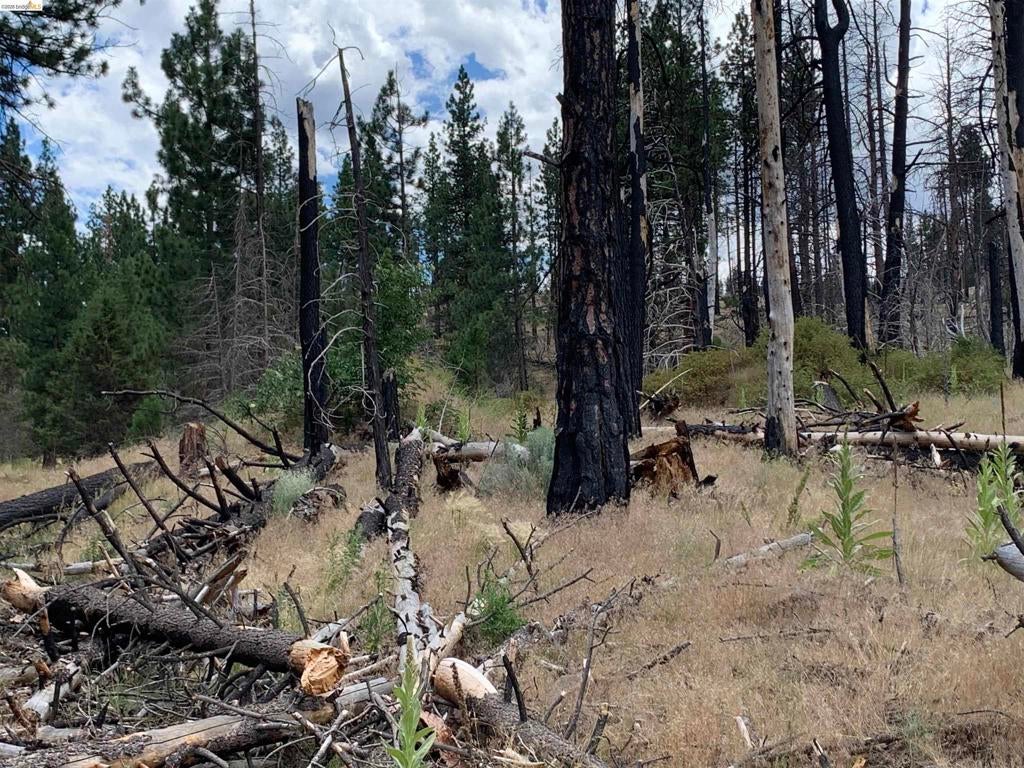 00000 Butte Creek Rd