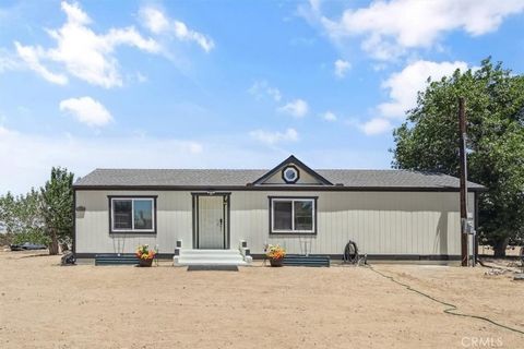 11991 Ailanthus Street Phelan CA 92371