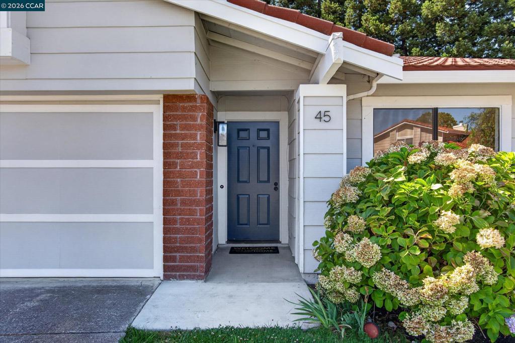 45 Longhorn Ct. CT