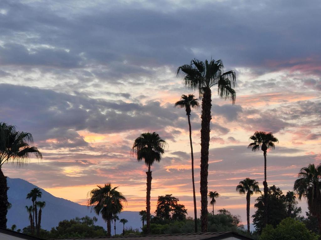 Palm Desert Greens - Manufactured In Park