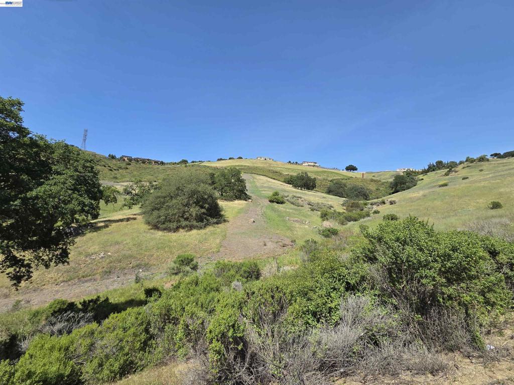 22575 Country View Dr
