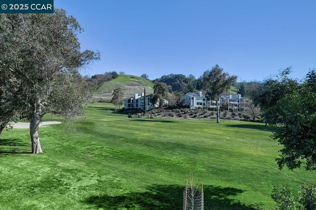 listing image 130722019329621971087