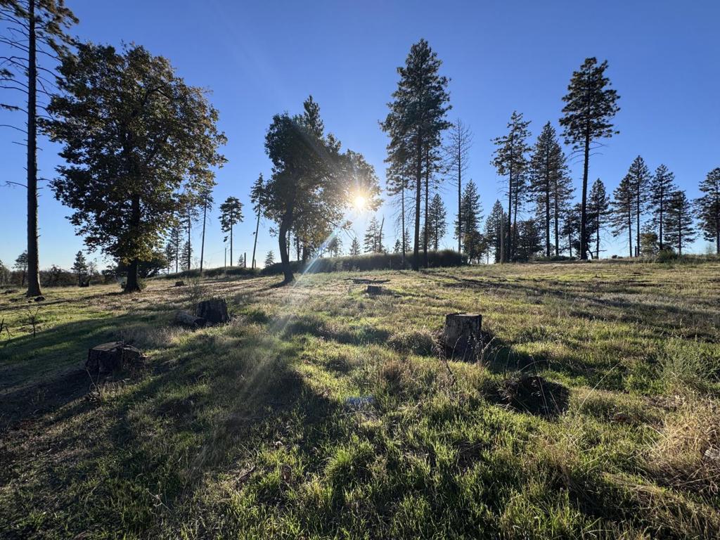 12168 Granite Ridge Road