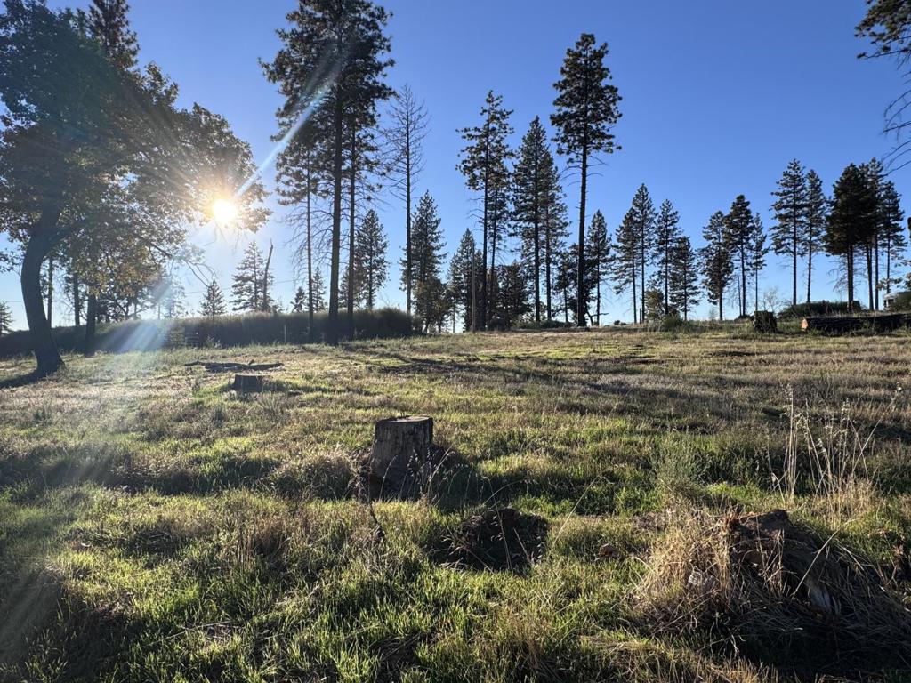 12168 Granite Ridge Road