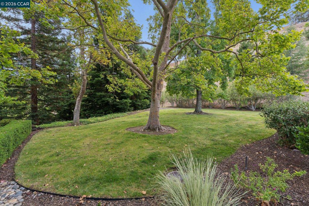1349 Running Springs Rd 4
