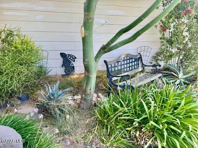 4049 Saddleback