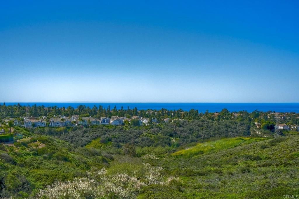 Photo of 1535 Maritime Drive, Carlsbad, CA 92011 (MLS # NDP2602814)