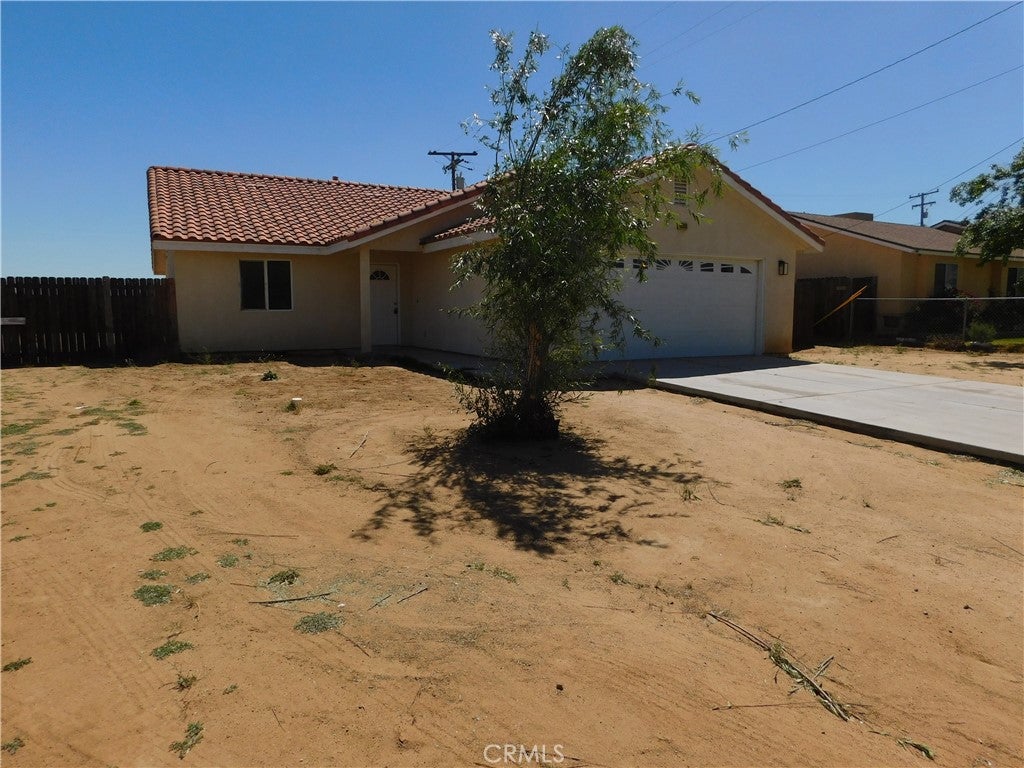 8560 Eucalyptus