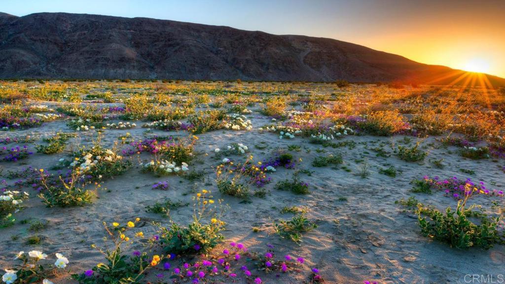 Palm Canyon Dr Lots 283 & 284