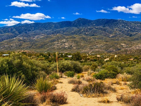 Photo of 214 Chalet Drive, Mountain Center, CA 92561 (MLS # 219150753PS)