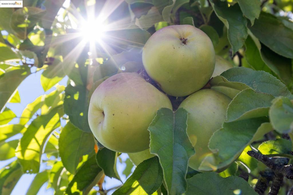 LINCOLN HIGHLAND - Residential