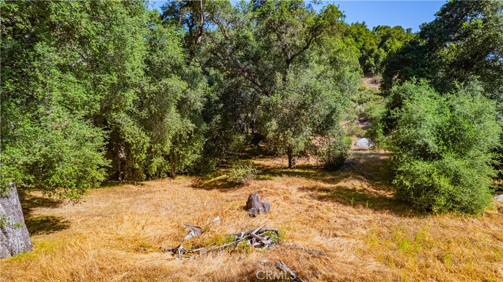 Solera (SLRA) - Land