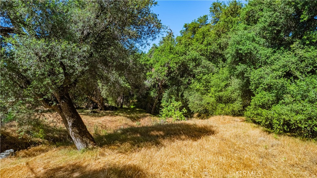 Solera (SLRA) - Land