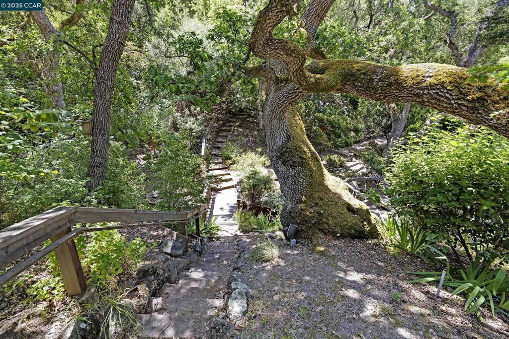 ST MARYS ORCHARD - Residential