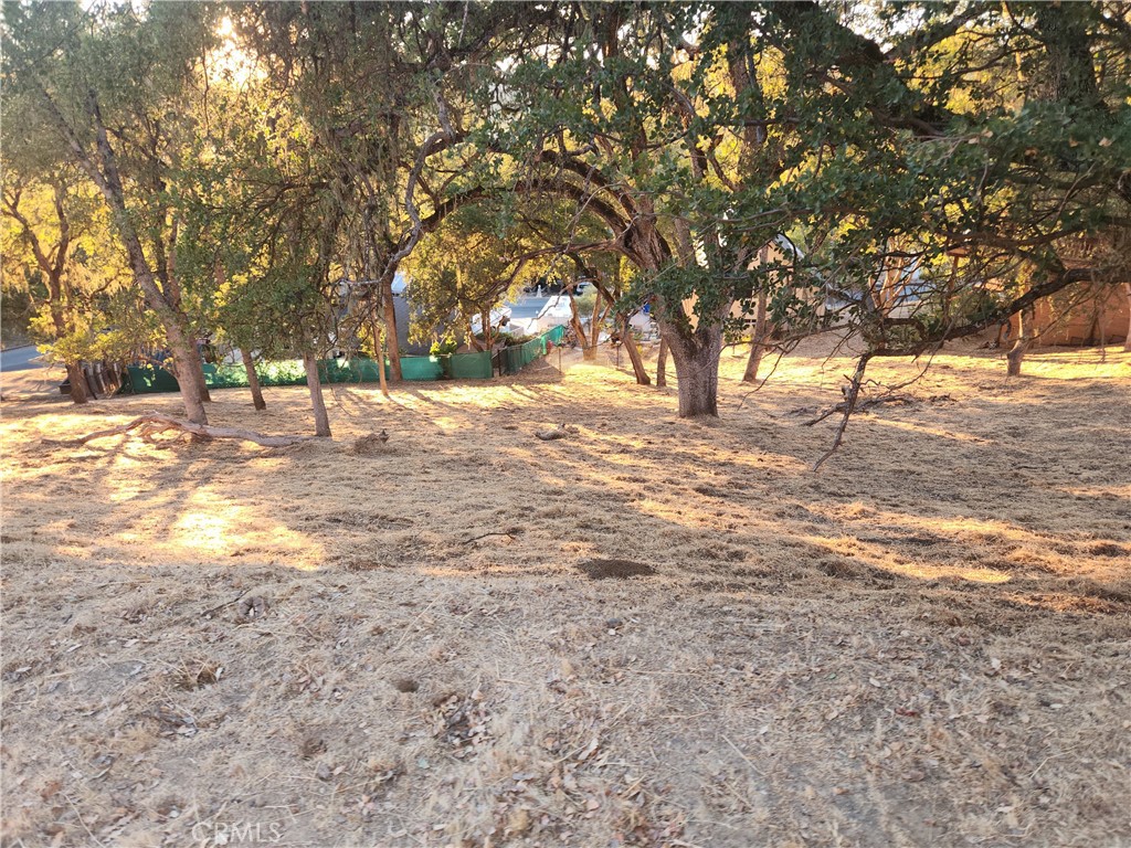 2623 Crows Nest