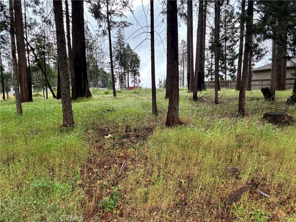0 Pineland Circle