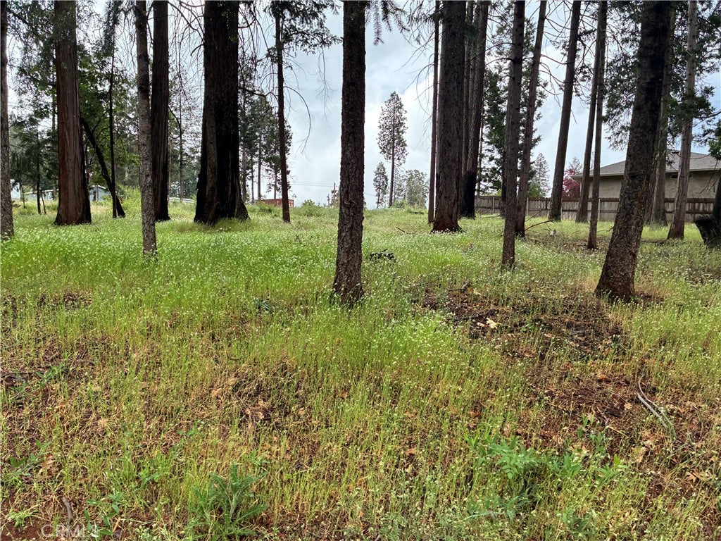 0 Pineland Circle