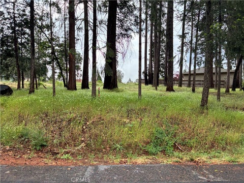 Photo of 0 Pineland Circle, Magalia, CA 95954 (MLS # SN26115690)