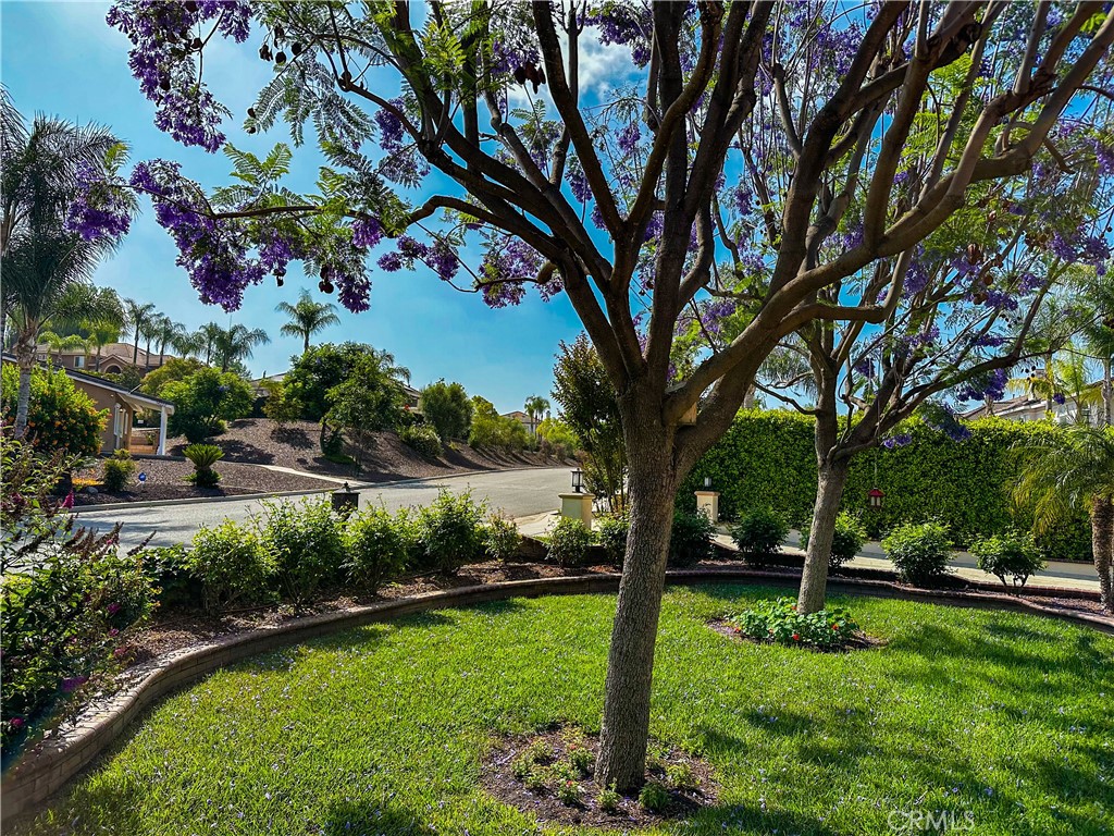 14207 Ashton Lane
