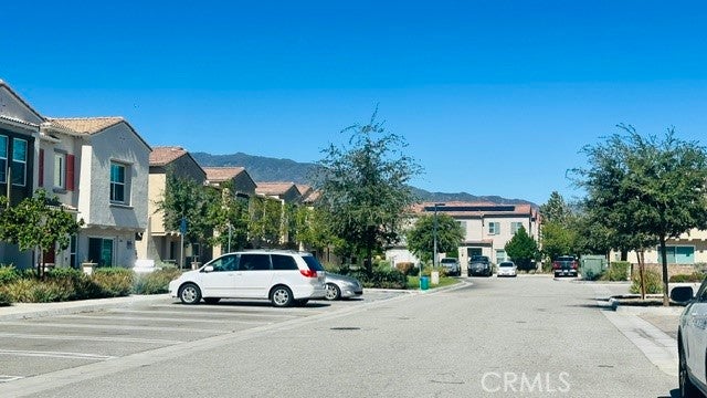 7155 Citrus