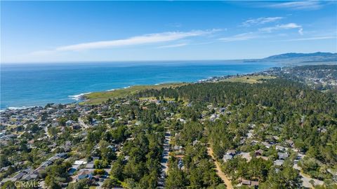 Tiny photo for 1840 Langton Street, Cambria, CA 93428 (MLS # SC26063517)