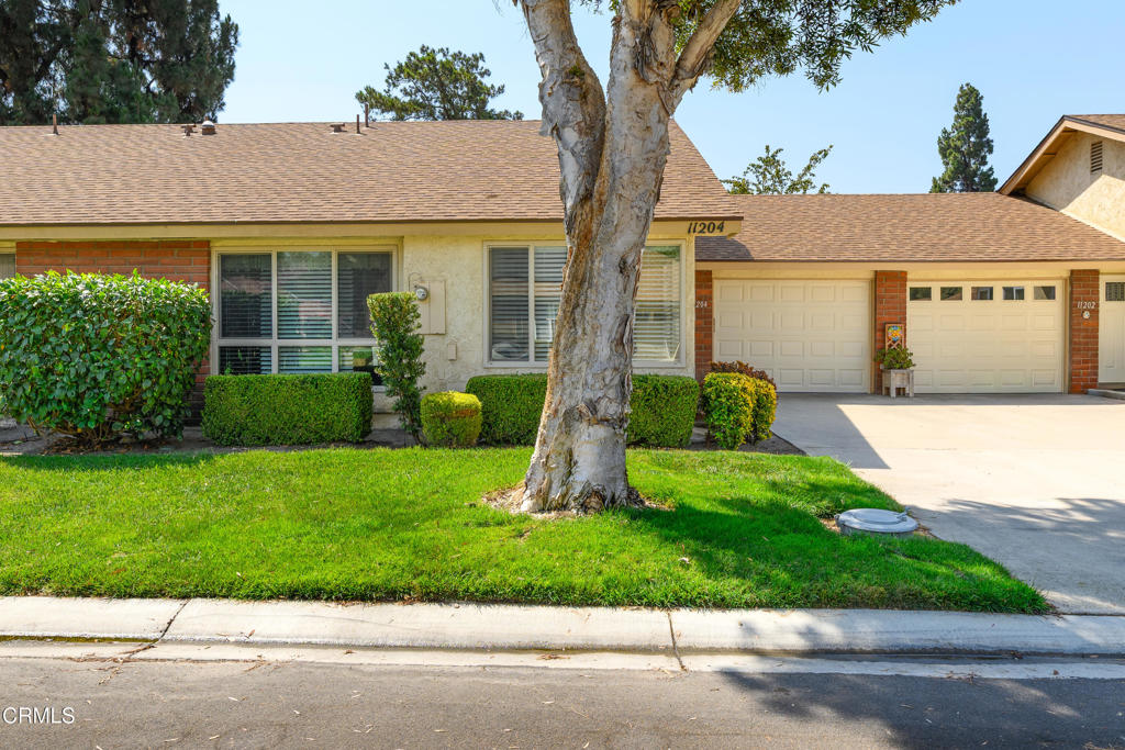 11204 Village 11