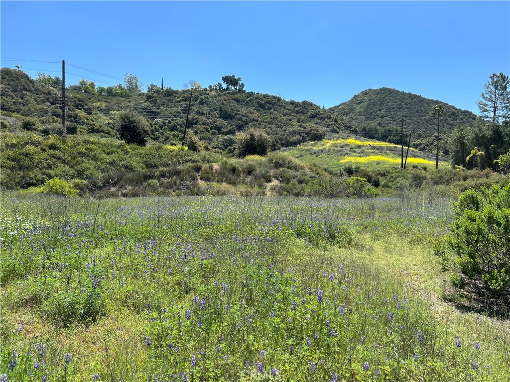 24201 Mulholland Highway