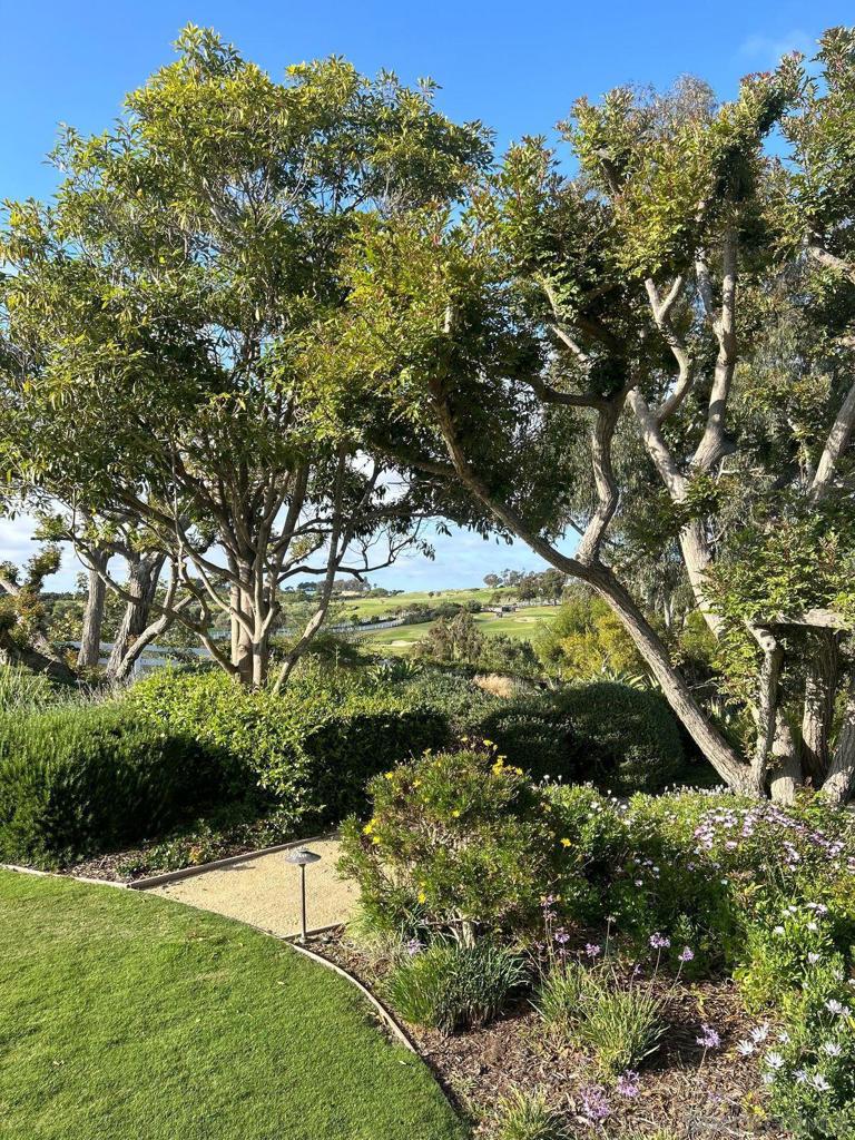 Encinitas - Residential