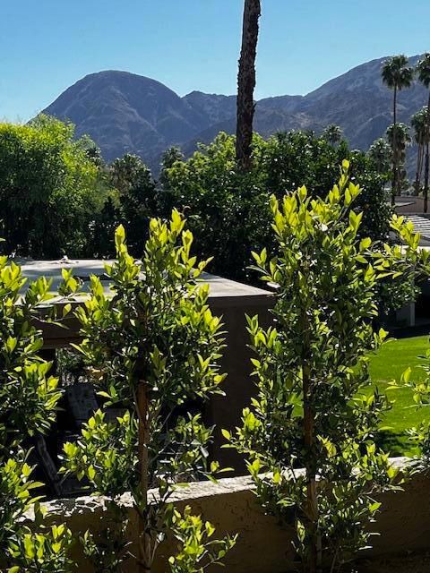 48840 Phlox Place Palm Desert CA 92260