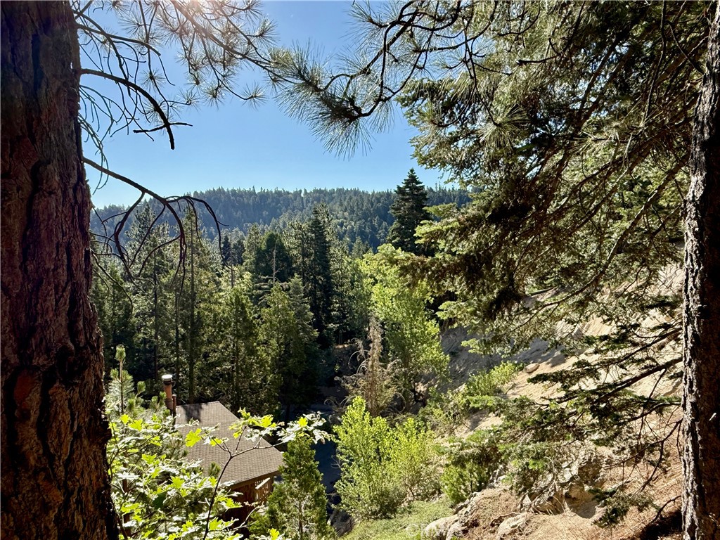Mountain Townhome in Beautiful Lake Arrowhead Area. Open and spacious three bedroom, two full baths, on two levels with large fireplace and two decks to take in the beautiful views and enjoy the mountain air. Large windows with sliding glass doors that lead outside to the decks. Great architecture, vaulted ceiling with skylight. Enjoy the community pool or tennis court. See yourself living here full time or enjoying it on the holidays and long weekends with family and friends.
