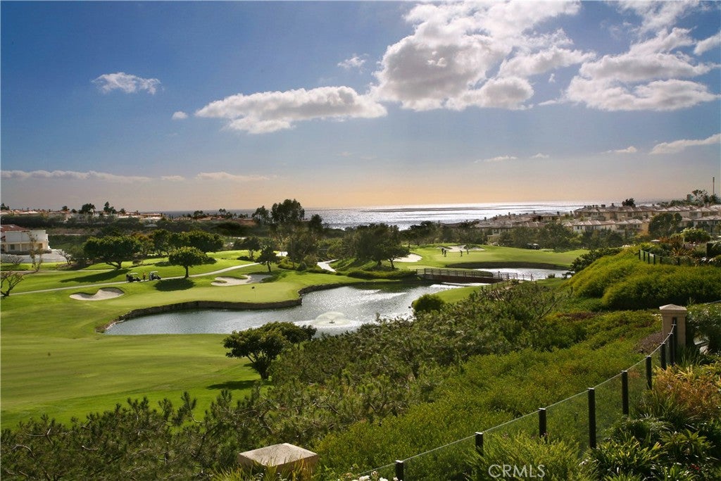 75 Palm Beach Court, Dana Point CA 92629 - Photo 41