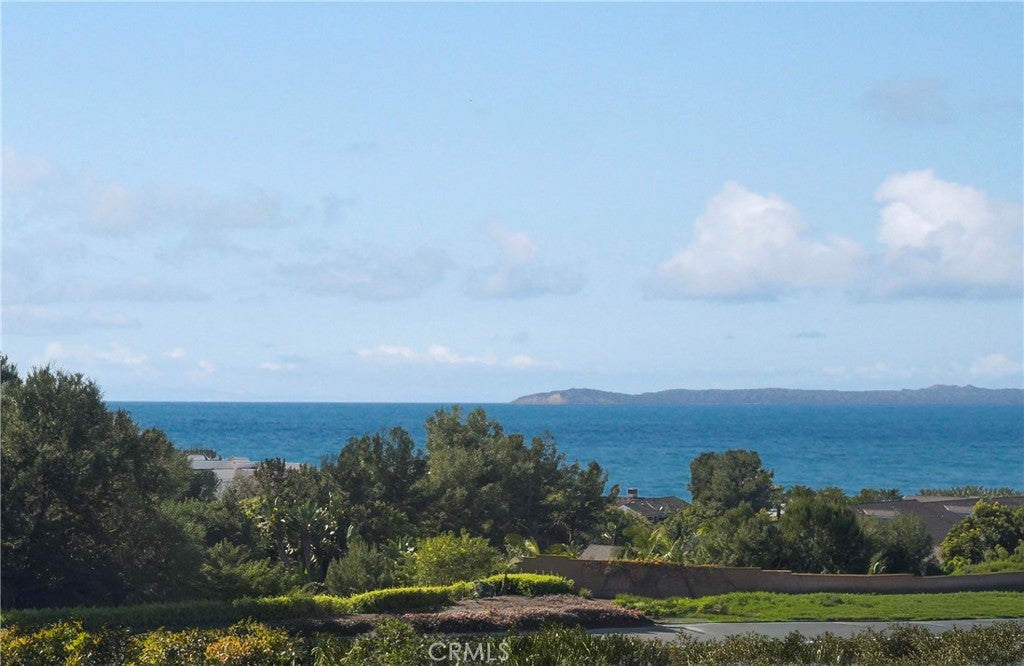 75 Palm Beach Court, Dana Point CA 92629 - Photo 29