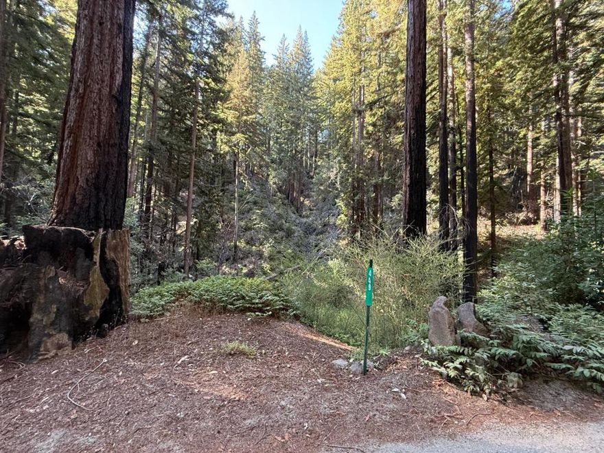 Nestled in a serene redwood forest, 449 Band Road presents a rare opportunity to create a private mountain retreat just two miles from downtown Boulder Creek. A peaceful creek runs through the property, and the southern boundary backs to county-owned land, ensuring both privacy and uninterrupted forest views. This vacant land sits on the paved road, offering easy access while maintaining a secluded feel. With its close proximity to town, easy access to Highway 9, and the coast only about 30 minutes away, this property perfectly blends mountain tranquility with convenience. Whether you envision a weekend getaway, a custom home, or a long-term retreat, this enchanting setting provides the ideal canvas. Buyer to investigate all developement possibilities.