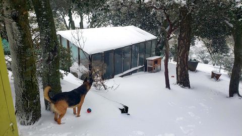 Tiny photo for 2855 Heliotrope Drive, Julian, CA 92036 (MLS # NDP2602171)